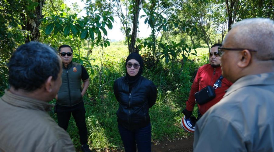 WhatsApp Image 2025-11-01 at 18.36.27